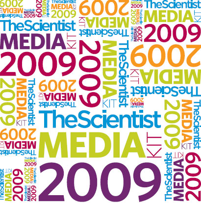 2009pic 2009pic