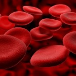 Traffic and Blood 